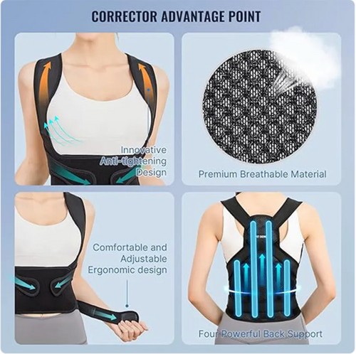 AlignRight Back Support Belt