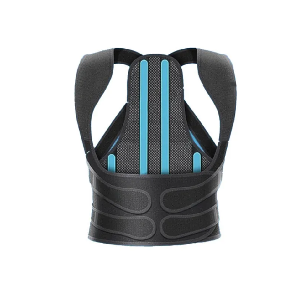 AlignRight Back Support Belt